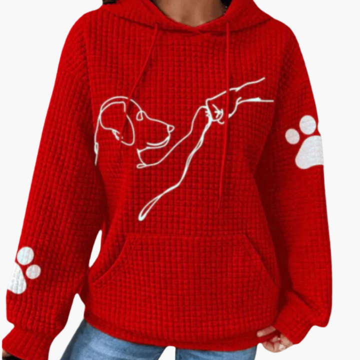 Phoebe | Pullover